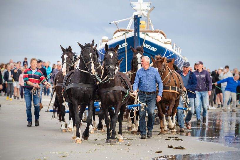 Pferderettungsboot Ameland von Rosalie Elema