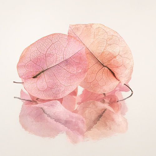 Samen tot het einde: Twee gedroogde blaadjes