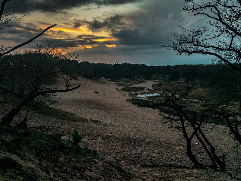 Coucher de soleil sur la dune de sable de Bedaf par Moniek van Rijbroek