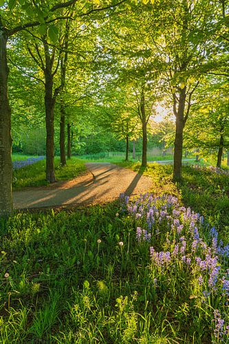 Maximapark (Leidsche Rijn)