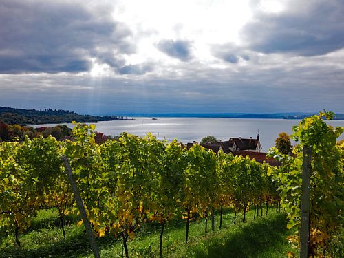 Lake Constance in autumn 4.0