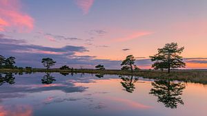Sonnenuntergang bei Holtveen im Nationalpark Dwingelderveld