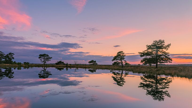 Sunset at Holtveen in National Park Dwingelderveld by Henk Meijer Photography