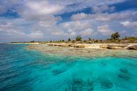 Klein Bonaire van Bart Hendrix thumbnail