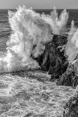 Force of Nature SW Version