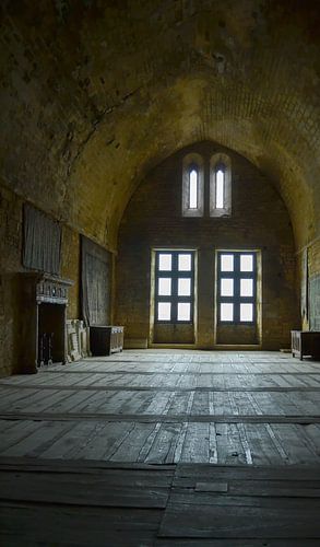 Ridderzaal uit de mideleeuwen