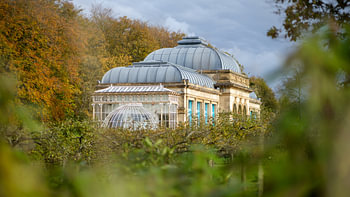 Elswout: Orangerie in Overveen, Hoog contrast