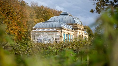 Elswout: Orangerie in Overveen, Hoog contrast