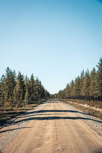 Zandweg in Zweeds Lapland