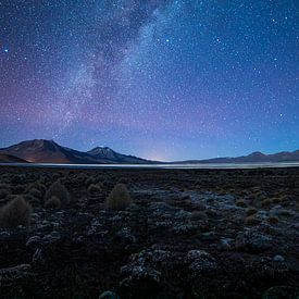 Altiplano at night