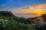 Cabo da Roca (Cape Roca) - Cascais van Roy Poots thumbnail