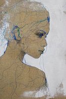 'Bashful Blue'