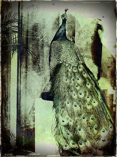 Feathers in a Palace