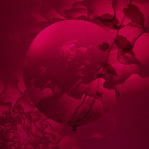 The Balloon in the Garden. by Alie Ekkelenkamp