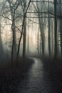 Hemmensebos part 67