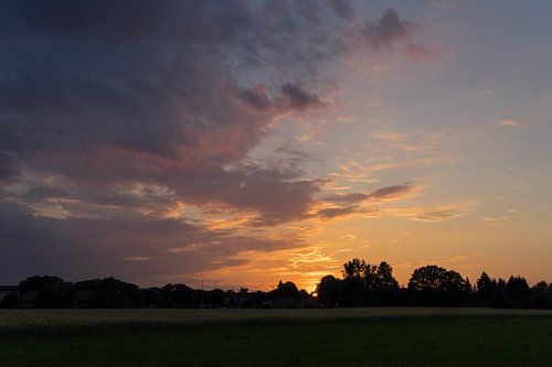 Sunset at the edge of the forest 2