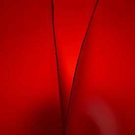 Folded paper in red light by Frank Heinz