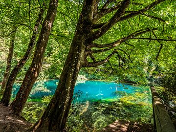 BLAUBEUREN : DE BLAUTOPF van Photoart-Naegele