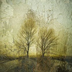 Paysage du Biesbosch dans la brume 2