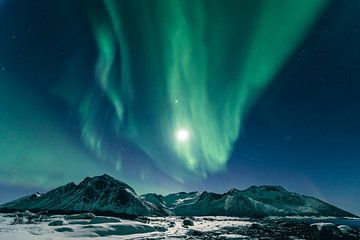 Noorderlicht Aurora Borealis in de nacht boven Noord-Noorwegen van Sjoerd van der Wal