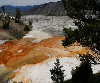 Canary Hot Spring