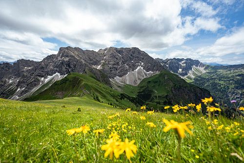 Bloemrijk uitzicht op de Grote Duim en de Allgäuer Alpen
