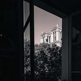 View on the Notre Dame, Paris by Luis Boullosa
