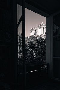 Vue sur Notre Dame, Paris
