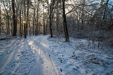 Winter in Beieren van Thomas Riess