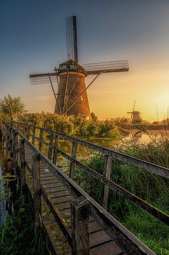 Moulins de Kinderdijk à l'aube