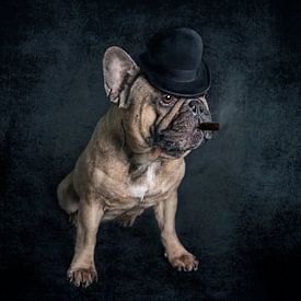 Gangster-Bulldogge von Anouschka Hendriks