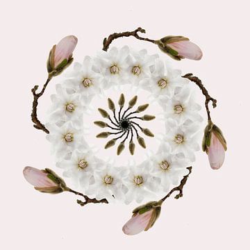 magnolia wreath by Klaartje Majoor