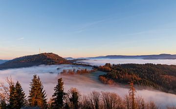 When the fog lifts by Thomas Heins