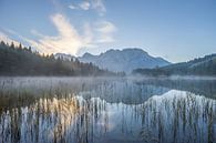 Morgens am See von Patrice von Collani Miniaturansicht