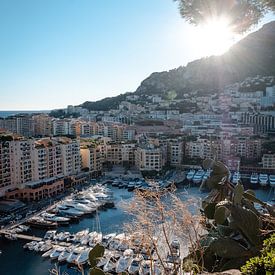 Vue du port moderne | un voyage à travers Monaco sur Roos Maryne - Natuur fotografie