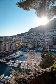 Vue du port moderne | un voyage à travers Monaco