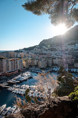 Modern havengezicht | een trip door Monaco