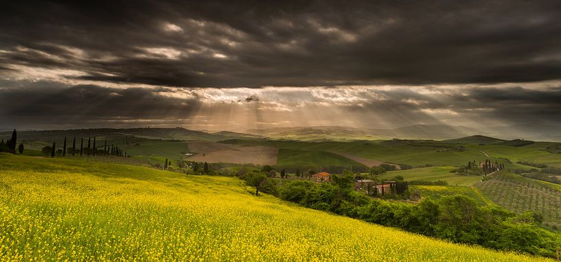 Des rayons de soleil dans le Val d'Orcia, dans le sud de la Toscane. par Damien Franscoise