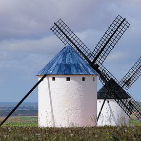 Spaanse windmolens op de hoogvlakte van La Mancha van Martijn de Jonge