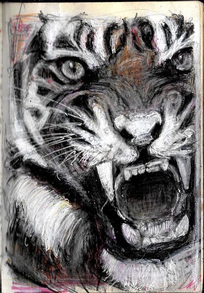 TIJGER by Vincent Jacobs