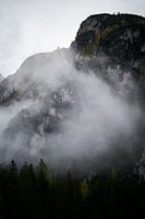Montagnes brumeuses
