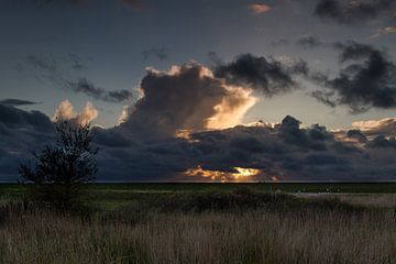 Tussen Lucht en Water von Maurice Hertog