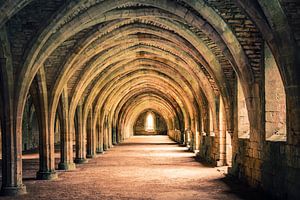 Fountains Abbey