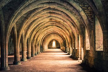 Fountains Abbey in Engeland van Truus Nijland
