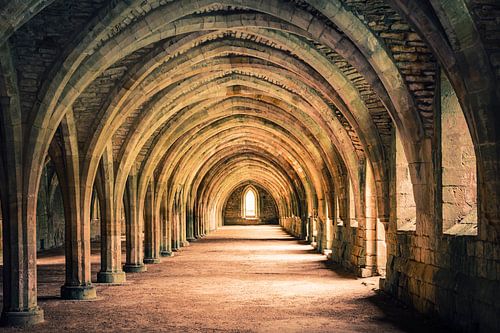 Fountains Abbey by Truus Nijland
