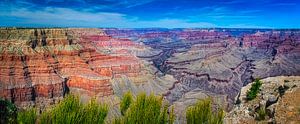 Panorama des Grand Canyon