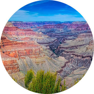 Panoramafoto van de Grand Canyon van Rietje Bulthuis