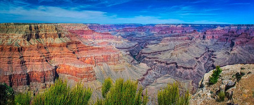 Panorama des Grand Canyon von Rietje Bulthuis