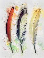 Three feathers in watercolour style