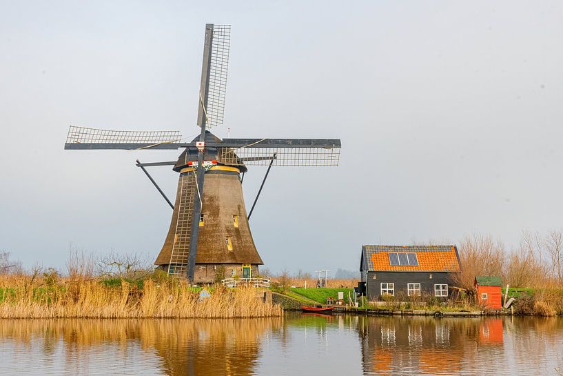 Windmühle Kinderdijk von Merijn Loch